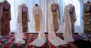 Muzeul Național „Brătianu” (2)