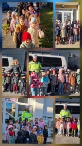 Poliția Locală Pitești (1)