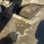 Spălătorii auto sancționate (2)