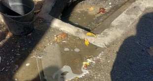 Spălătorii auto sancționate (2)