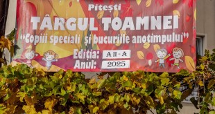 Târgul de Toamnă (2)