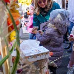 Târgul de Toamnă (3)