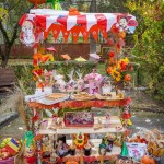 Târgul de Toamnă (4)