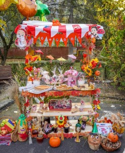 Târgul de Toamnă (4)