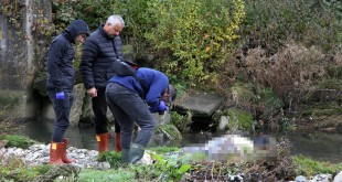 femeie gasita moarta baraj-Câmpulung (2)