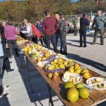 festivalul perelor (1)