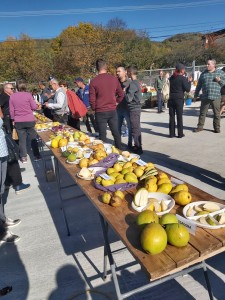 festivalul perelor (1)