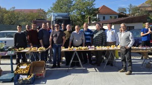 festivalul perelor (3)