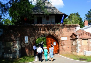 golesti_fotopress24.ro-24