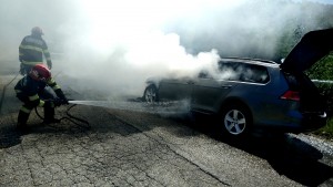 incendiu-auto-mioarele-arges-1