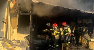 incendiu firma curtea de arges (2)