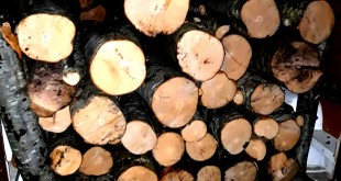 material-lemnos-confiscat1