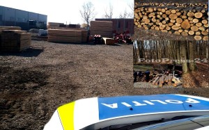 material lemnos-fără-documente-legale