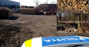 material lemnos-fără-documente-legale