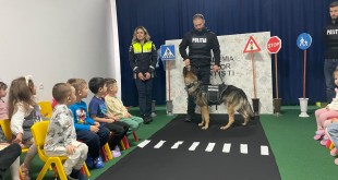 siguranța rutieră a preșcolarilor (1)
