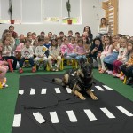 siguranța rutieră a preșcolarilor (3)