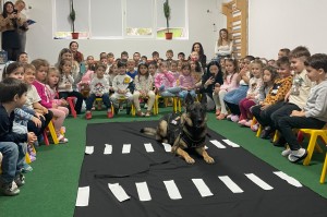 siguranța rutieră a preșcolarilor (3)