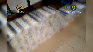 tigari contrabanda (1)