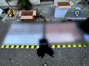 tigari contrabanda (2)