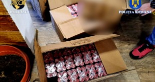 tigari contrabanda (3)