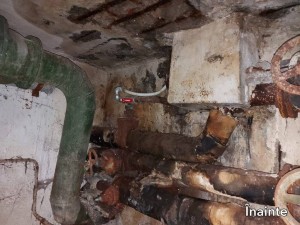 verificare adapost pitesti (1)