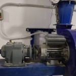 verificare adapost pitesti (3)