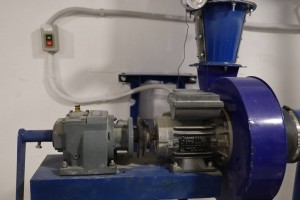 verificare adapost pitesti (3)