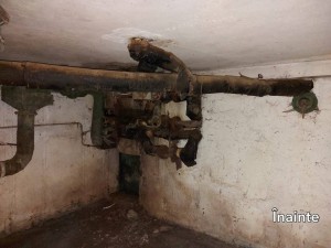 verificare adapost pitesti (6)