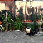 Școla „Nicolae Iorga”, (1)