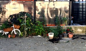 Școla „Nicolae Iorga”, (1)