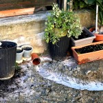 Școla „Nicolae Iorga”, (3)