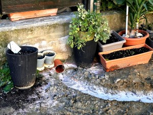 Școla „Nicolae Iorga”, (3)