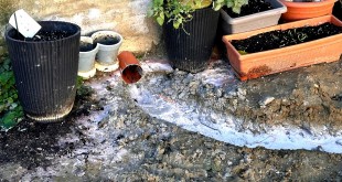 Școla „Nicolae Iorga”, (3)