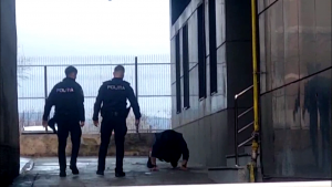 Cercetări efectuate de polițiștii (15)