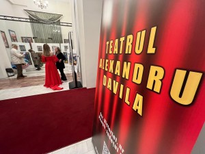 Expoziție inedită Alexandru Davila (4)