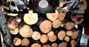 Material-lemnos-confiscat1-310x165