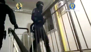 Percheziții Pitești la falsificatori de documente (2)