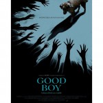 afis 8 noiembrie 2025