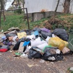 amenzi politi locala pitesti (3)