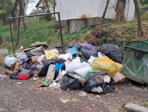 amenzi politi locala pitesti (3)