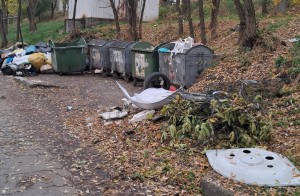 amenzi politi locala pitesti (4)