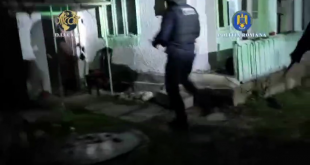 droguri de mare risc (1)