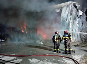 incendiu albota (2)