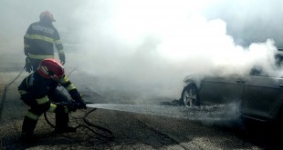 incendiu-auto-mioarele-arges-1