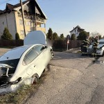 misiuni isu arges (2)