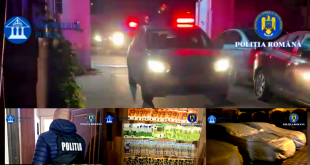 perchezitii arges (2)