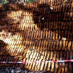 proiectile, grenade, bombe, cartușe (1)