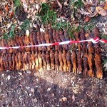 proiectile, grenade, bombe, cartușe (2)