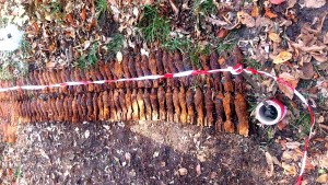 proiectile, grenade, bombe, cartușe (2)