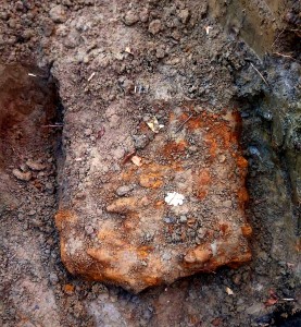 proiectile, grenade, bombe, cartușe (3)